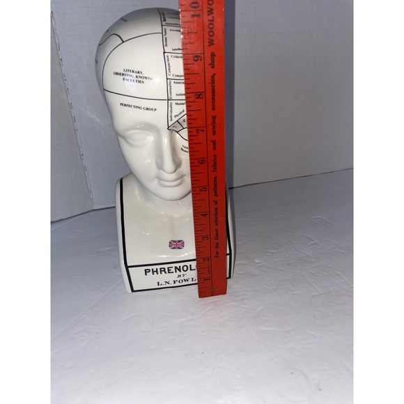 Phrenology Head Psychology L.N. Fowler, Royale Stratford Hand Made England - Picture 14 of 16